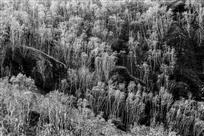 《秋色正浓》组6幅