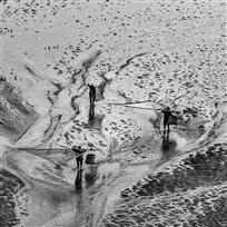 霞浦滩涂