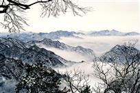 伏牛山冬韵