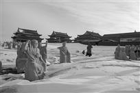 雪后佛影