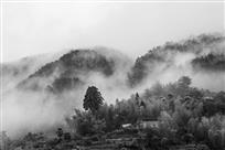 竹山人家