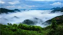 《寨头云海》
