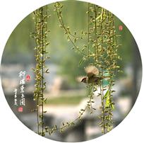 柳绿莺飞图
