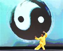 太极魂