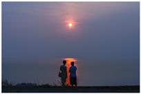 夕阳红