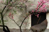 农家小屋