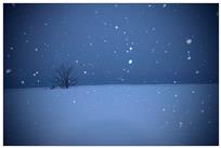 《雪韵》