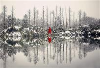 雪后·西湖