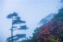 江山如画