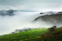 《俯瞰云烟春色秀》