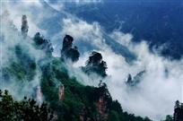 情深深·雾蒙蒙