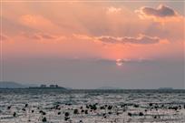 天光色语绘太湖