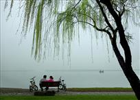 春风又绿江南岸