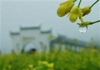 古村春意