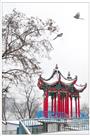 《雪中画境》