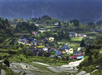 生态家园