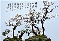 《情满中华》