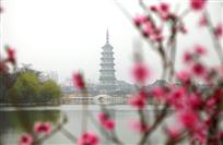 花红柳绿春光好