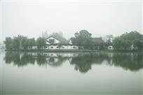 郁郁葱葱生态美