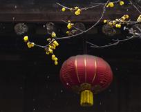 中国元素
