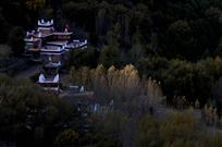 藏居光影
