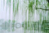 春风又绿江南岸