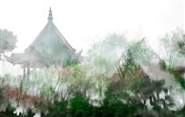 春染江南