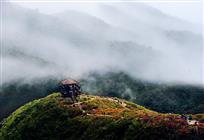 围山雨后花更红