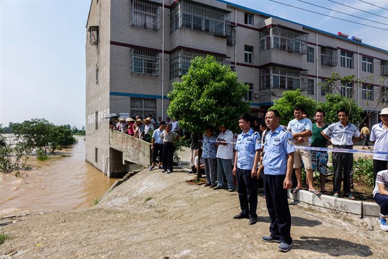 拍摄地点: 应城市杨河镇  拍摄时间: 2016-07-21  作品       wyp