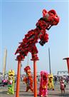 狮登梅花桩（组照）