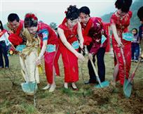 共栽同心树