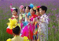 花儿与少年