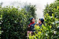 茶山情话