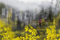 画意乡村