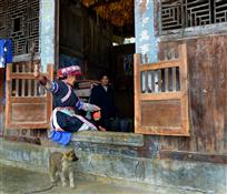 幸福阿婆