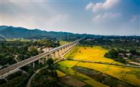 高铁飞驰我家乡