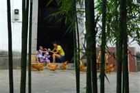 农家小院