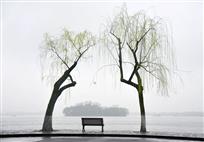 雨西湖