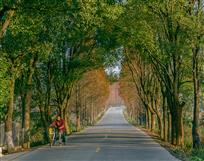 五彩通村路