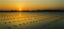 夕阳映湖畔