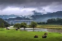 高铁过我村