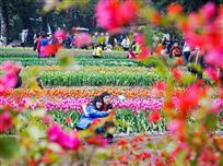 《幸福花儿开》