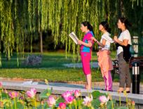 晨诵国学经典