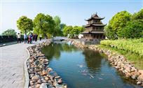 推着老人来赏景