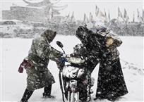 《雪中情》