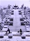 狮子山晨雪