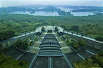 湿地细雨