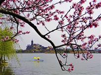 春染金山寺