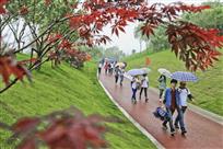南山绿道雨中行