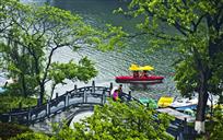 金山春雨